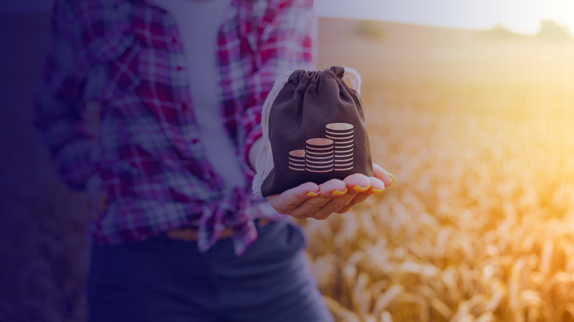 Como funciona a contabilidade rural?